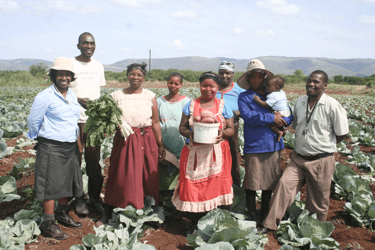 Community Development